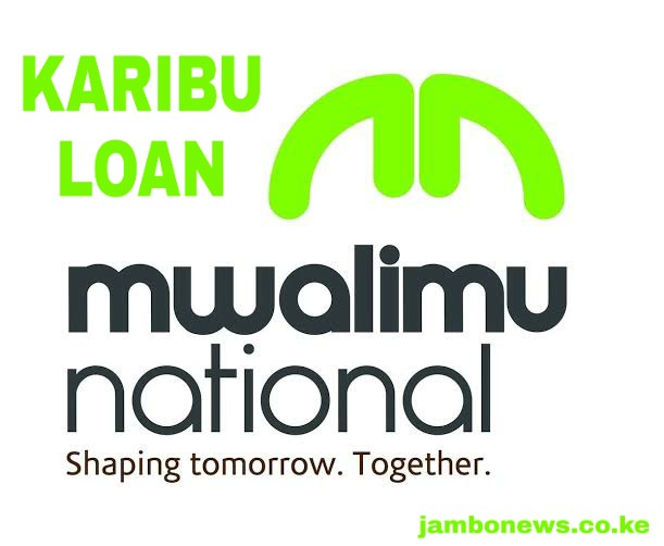 Mwalimu National Karibu loan